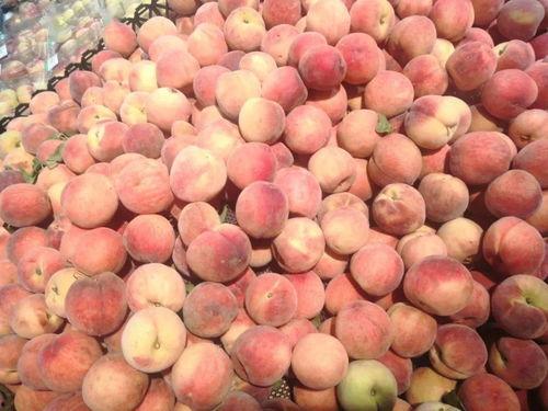 小豪娱乐吃瓜,揭秘娱乐圈最新吃瓜事件